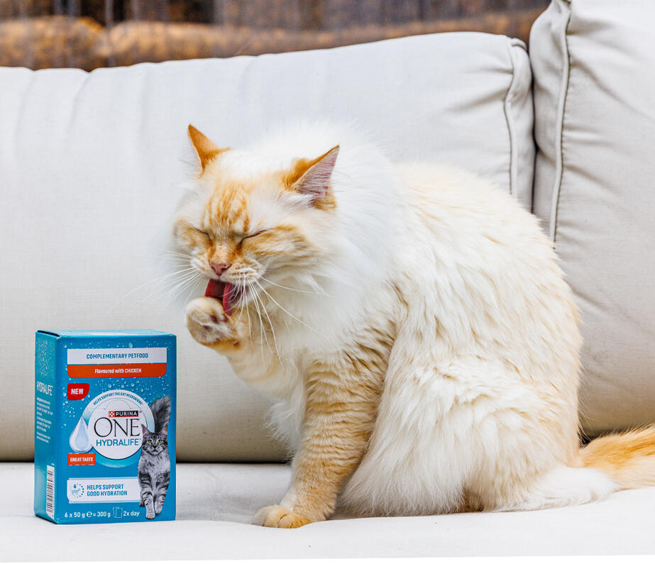 Cat licks it's paw sitting on a sofa next to Hydralife product