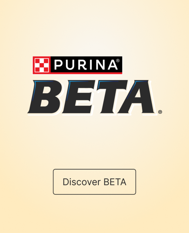 Beta logo