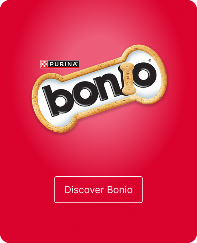 Bonio logo