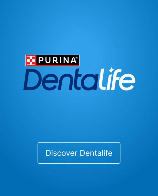 Dentalife logo