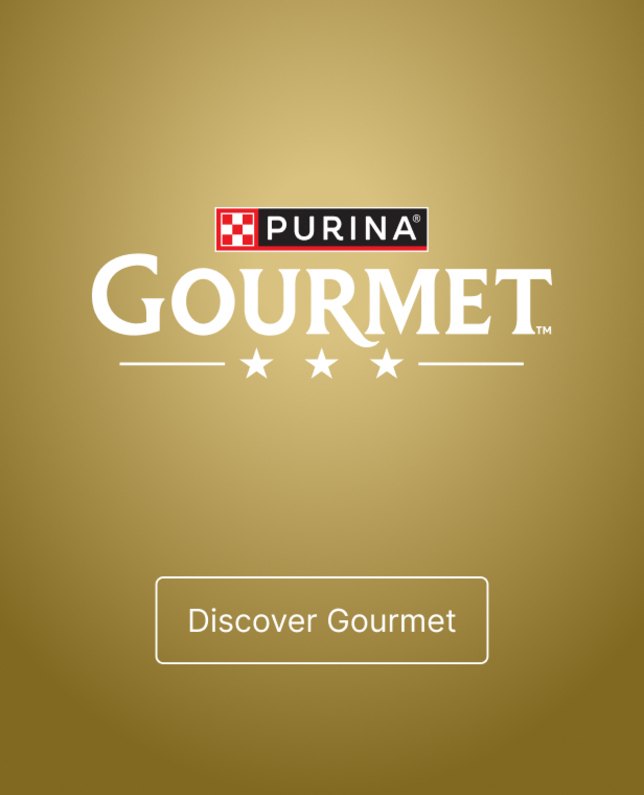 Gourmet logo