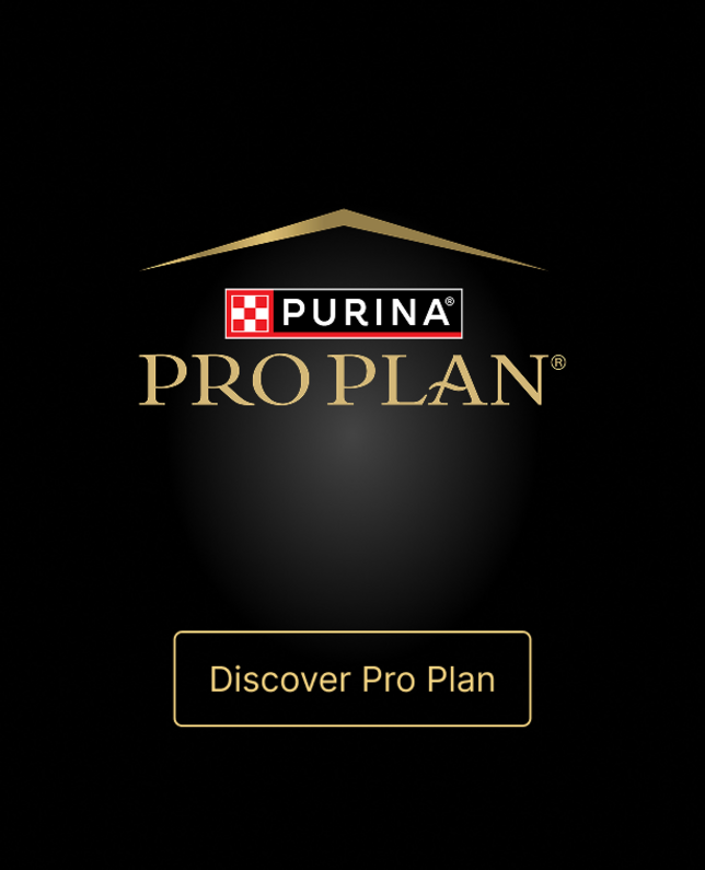 Pro Plan logo