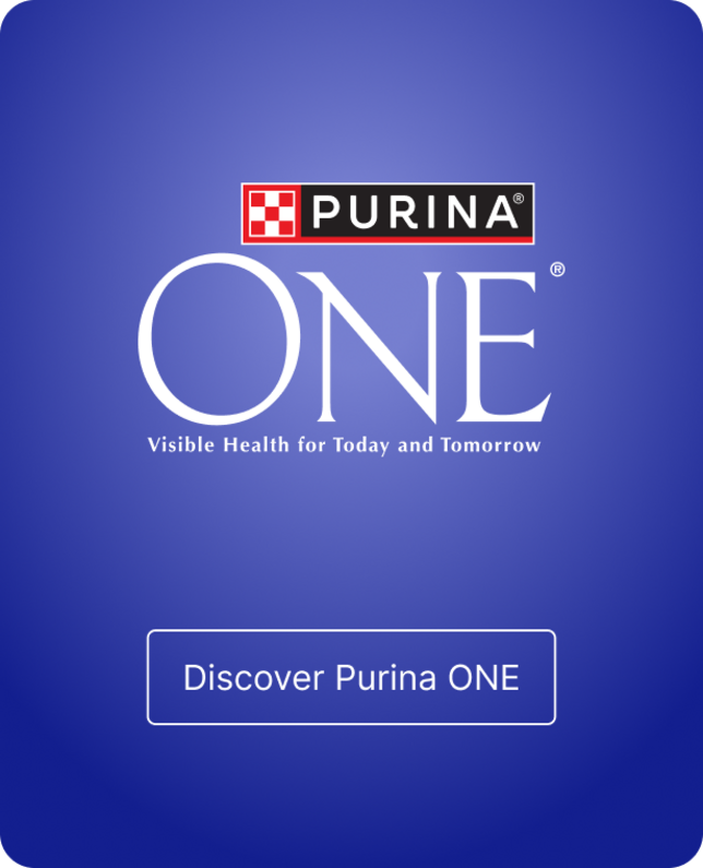 Purina ONE logo