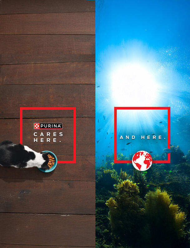 Purina cares