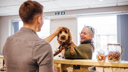 Brown dog being held and stroked.