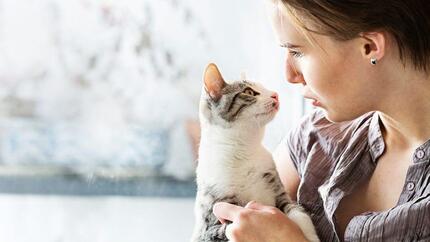 Light furred kitten being held by woman.