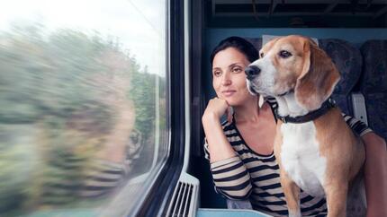 woman and beagle looking out a train window