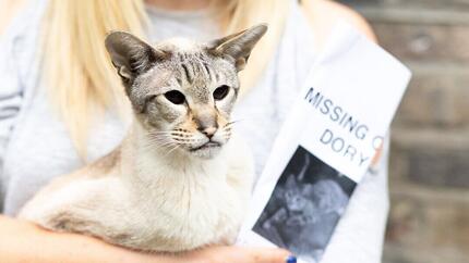 woman holding cat and missing cat poster