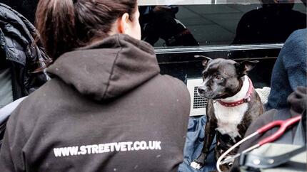 Streetvet