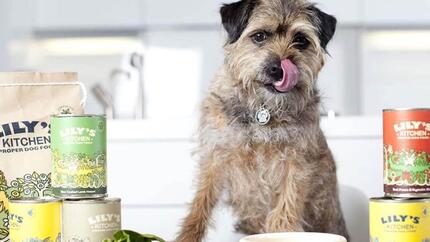 Nestlé Purina PetCare acquires natural pet food brand Lily’s Kitchen