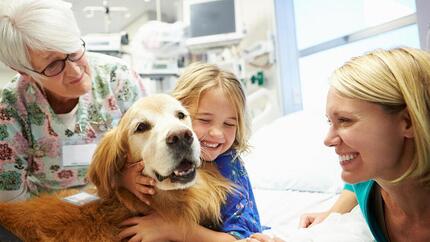 10 Best Therapy Dogs & What They Do