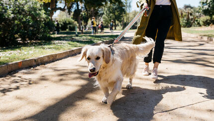 Woman walking dog