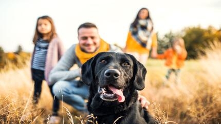 family in field with dog