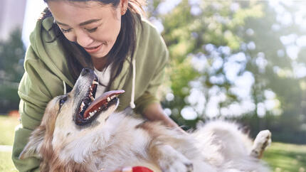 Woman holding dog rolling onto back