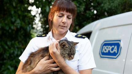 RSPCA ACO Emma Byrne on duty in Kent