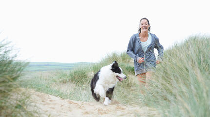 Dog at the beach with owner