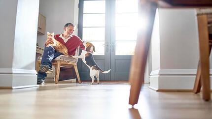 Man sat by doors with a ginger cat on his lap and a beagle jumping up for a stroke