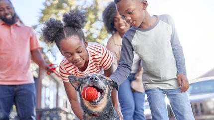 Family playing with dog who has a red ball in his mouth