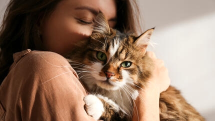 owner snuggling orange and white cat