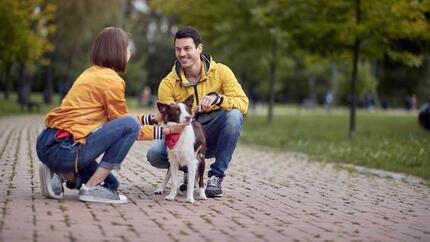 Man and woman in a park petting their dog