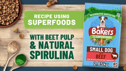 Bakers small dog beef product - recipe using Superfoods