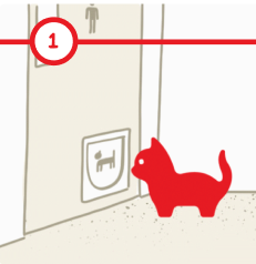 Litter box training