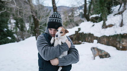 Do Dogs Get Cold?
