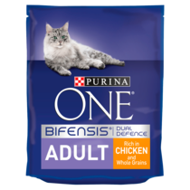 purina kitten dry food