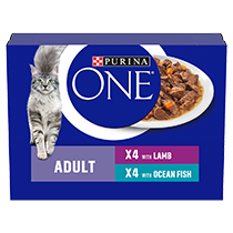 Purina ONE Adult Lamb and Ocean Fish