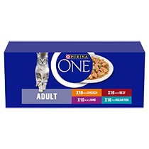 Purina ONE Adult Mixed Selection