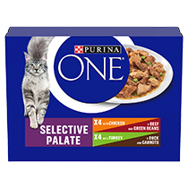 Purina ONE Selective Palate