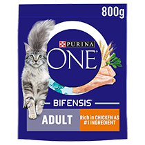 PURINA ONE® Chicken and Whole Grains Dry Cat Food