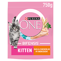 PURINA ONE® Kitten Chicken and Whole Grains Dry Cat Food