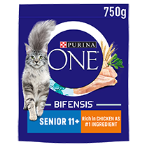 PURINA ONE® 11+ Chicken and Whole Grains Dry Cat Food