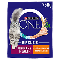 PURINA ONE® Urinary Care Chicken and Wheat Dry Cat Food