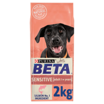 BETA® Sensitive Salmon Dry Dog Food