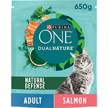 PURINA ONE® Dual Nature Salmon Dry Cat Food