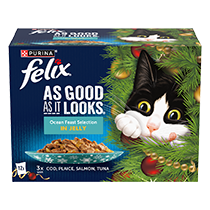 FELIX® As Good As it Looks Ocean Feasts in Jelly Wet Cat Food