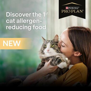 PRO PLAN Allergen Reducing Sterlised LIVECLEAR Salmon Dry Cat Food
