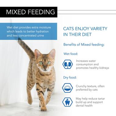 PRO PLAN Housecat NUTRISAVOUR Salmon in Gravy Wet Cat Food