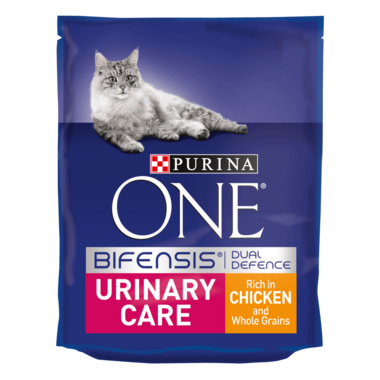 PURINA ONE Urinary Care Chicken and Wheat Dry Cat Food