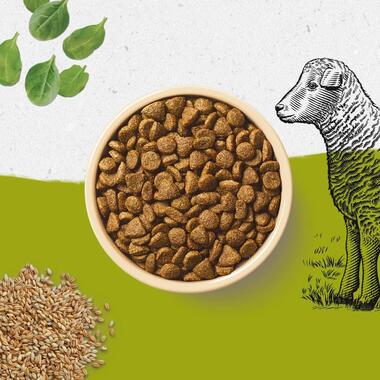 BEYOND® Rich in Lamb with Whole Barley Dry Dog Food