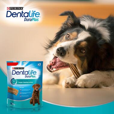DENTALIFE® DuraPlus Large Dog Dental Dog Chews