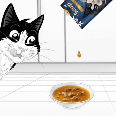 FELIX® Soup Farm Selection Cat Treats