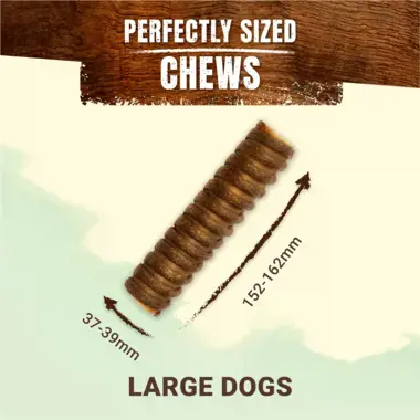 7613287189271_T65.png