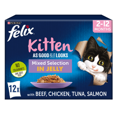 FELIX® As Good As it Looks Kitten Mixed Selection in Jelly Wet Cat Food
