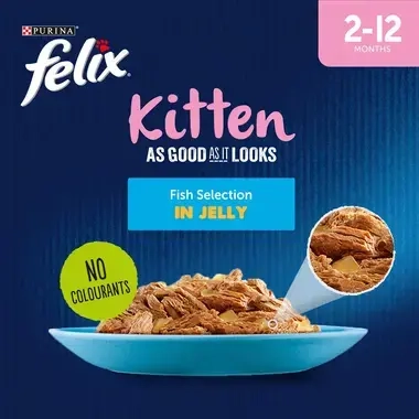FELIX® As Good As it Looks Kitten Fish Selection in Jelly Wet Cat Food