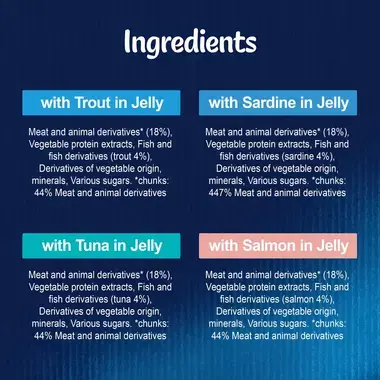 FELIX® As Good As it Looks Kitten Fish Selection in Jelly Wet Cat Food