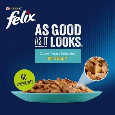 FELIX® As Good As it Looks Ocean Feasts in Jelly Wet Cat Food