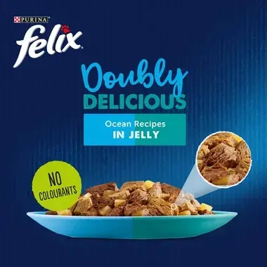 FELIX® Doubly Delicious Ocean Recipes Wet Cat Food
